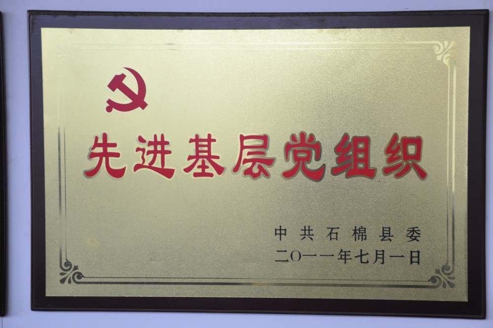 先進基層黨組織.JPG